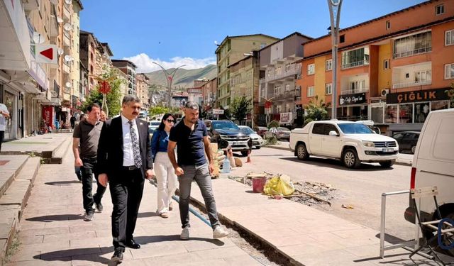 Hakkari’de Kent Estetiğini Güçlendiren Çalışmalar Sürüyor