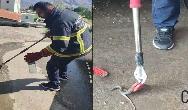 Hakkâri'de Otomobilin Kaportasına Giren Yılan İtfaiye Ekiplerini Harekete Geçirdi