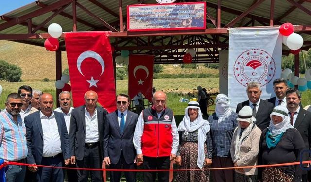 Çukurca Köyü'nde Berivanlara Modern Süt Sağım Alanı Hizmete Açıldı