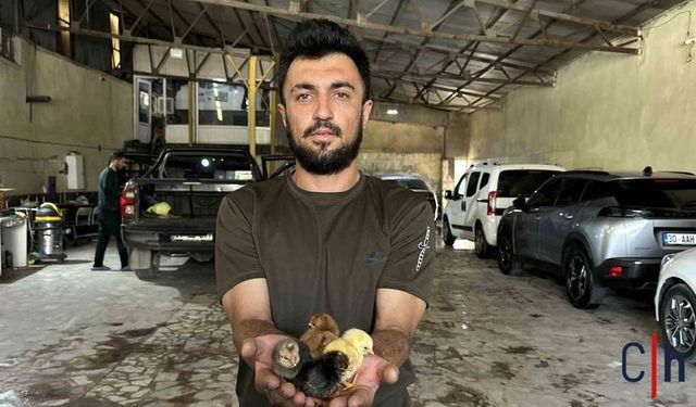 Hakkarili Girişimci Oto Yıkama Dükkanında Kuluçka Makinesi Üretti