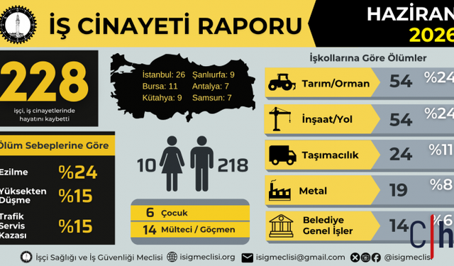 İSİG Meclisi Haziran Ayı Raporunu Açıkladı: 228 İşçi Hayatını Kaybetti
