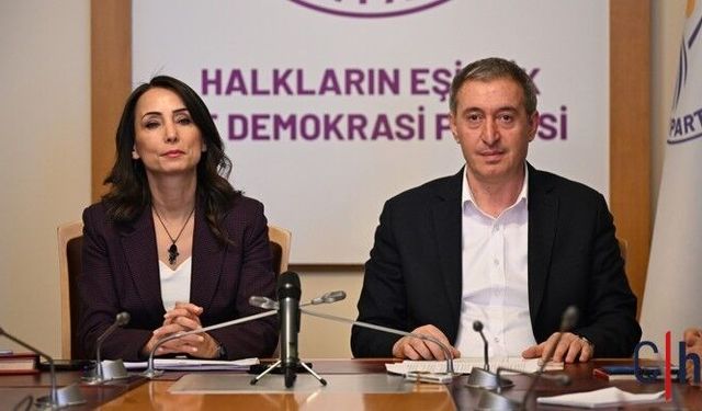 DEM Parti Eş Genel Başkanlarından Gözaltılar ve Ev Baskınlarına Tepki