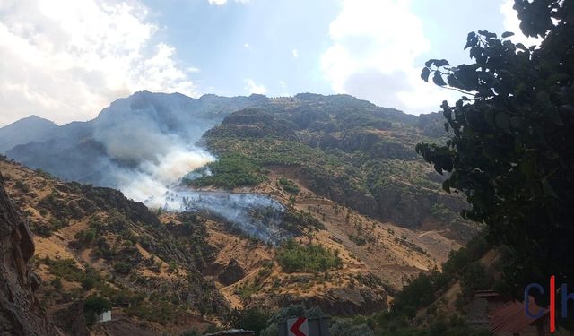 Olgunlar köyünde anız yangını ormanlık alana sıçradı