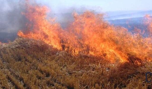 Hakkari-Van Karayolu’nda Anız Yangını: Ekipler Seferber Oldu