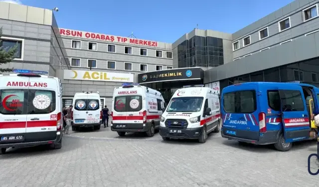 Van Gölü'nde 2 kardeş boğularak hayatını kaybetti