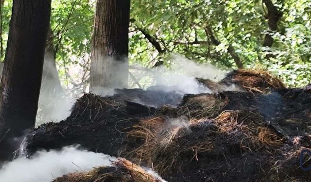 Hakkâri’deki yangında 400 balya ot kullanılamaz hale geldi