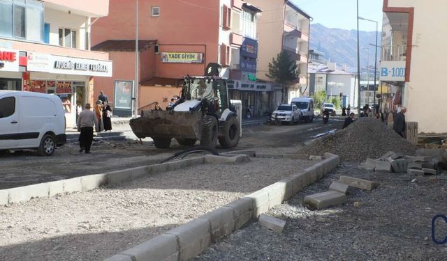 Hakkâri Belediyesi’nden kentin dört bir yanında yoğun mesai