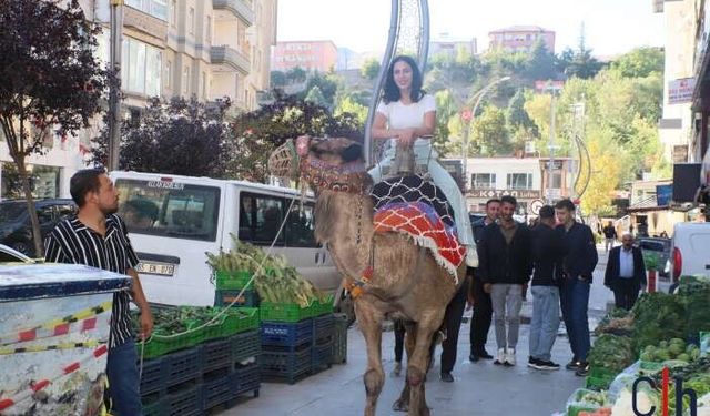 Hakkari’de deve ve Midilli ilgi odağı oldu