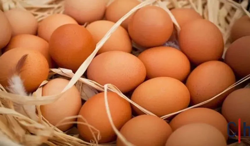 Kahverengi Yumurtaların Tüketimi Tehlikeye Girdi: Toplatılma Kararı Alındı