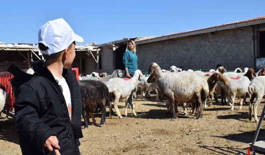 Annelik ve Girişimcilik Bir Arada, 250 Bin Liralık Hibe ile Kendi Hayvancılık İşini Kurdu