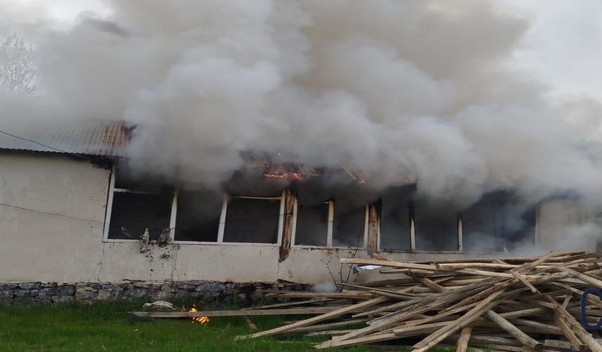 Hakkari'de köy evinde çıkan yangın korkuttu