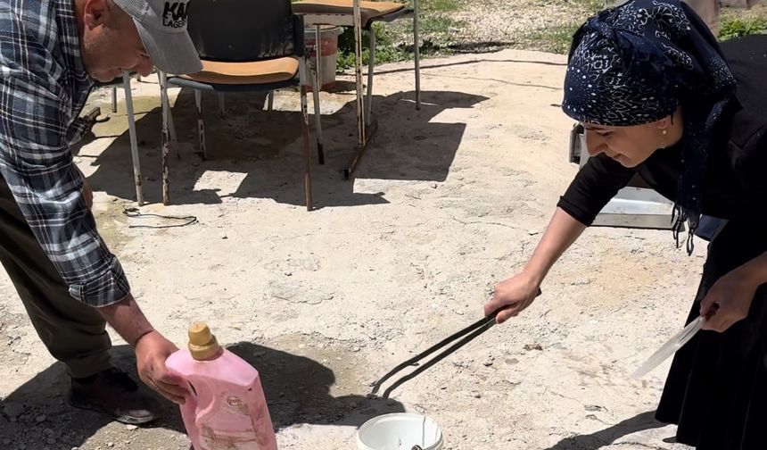 Burası Hakkari, Evlerinde Her Gün Yılan Çıkıyor