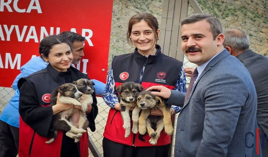 Sahipsiz Değiller: Hakkari Çukurca’da Doğal Yaşam Alanı Hayata Geçiyor