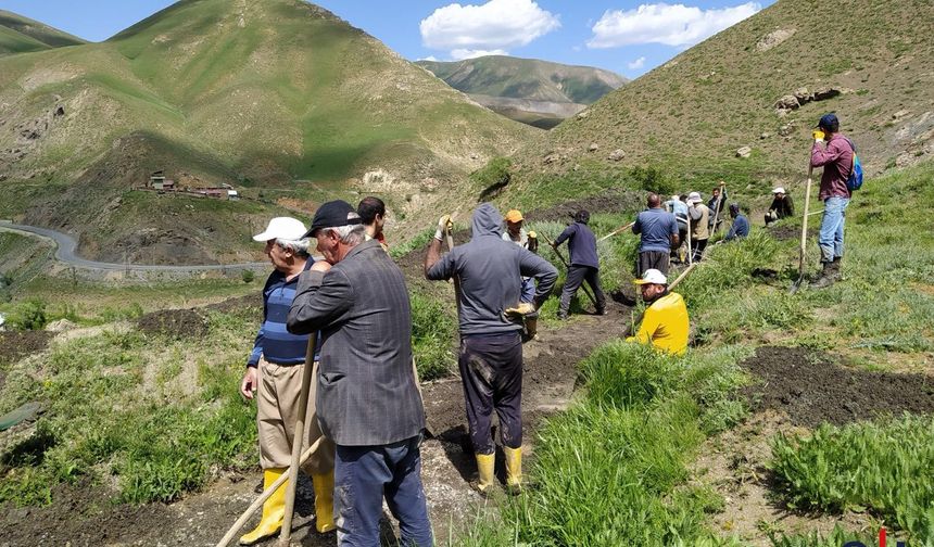 Hakkari Karşıyaka Mahallesi'nde Sulama Çilesi:  “Vali Ali Çelik Sesimizi Duysun”