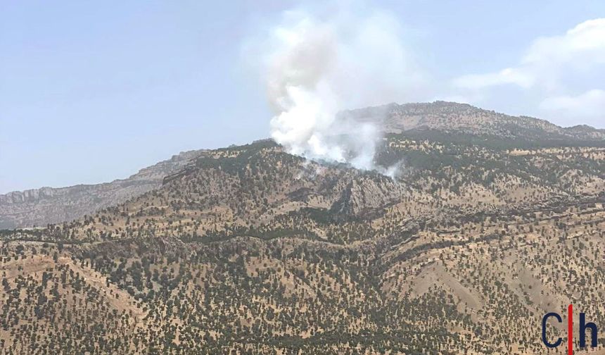 Hakkari'de Orman Yangını 2 Saatte Kontrol Altına Alındı: 5 Hektar Kül Oldu