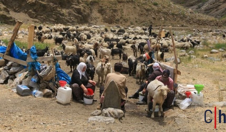 Zorlu Yayla Yaşamı: Ekonomik Kriz ve Göç
