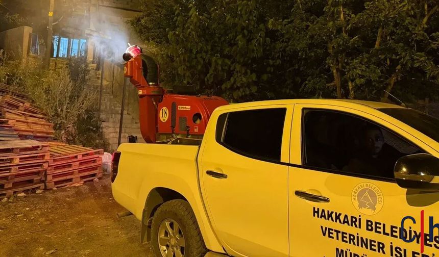 Hakkâri’de Sinek İstilası Vatandaşı Bıktırdı!