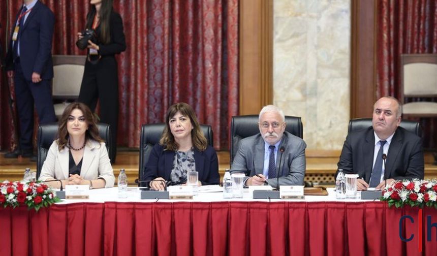 Gülistan Kılıç Koçyiğit: “Demokratik Katılım Kolektif Hakları da Kapsamalı”