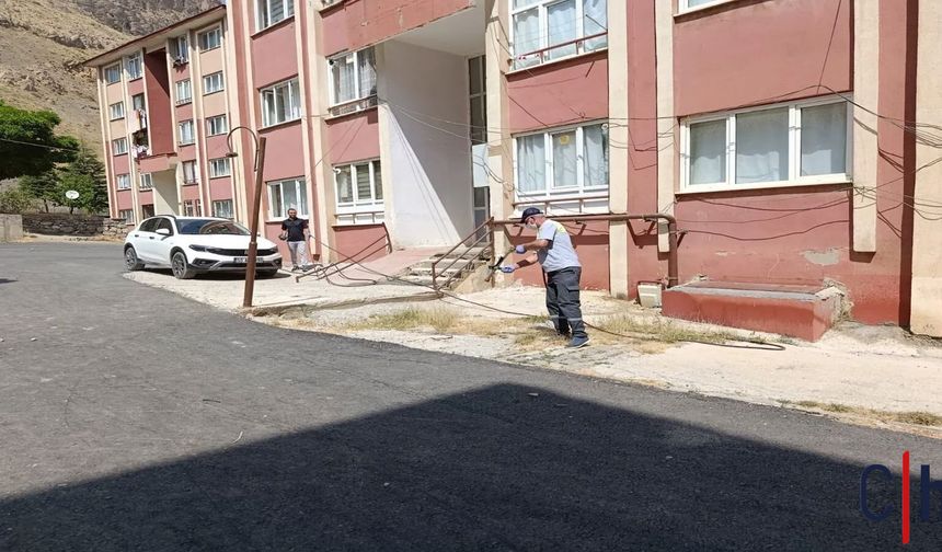 Hakkari Belediyesi’nden Kesintisiz İlaçlama Çalışmaları