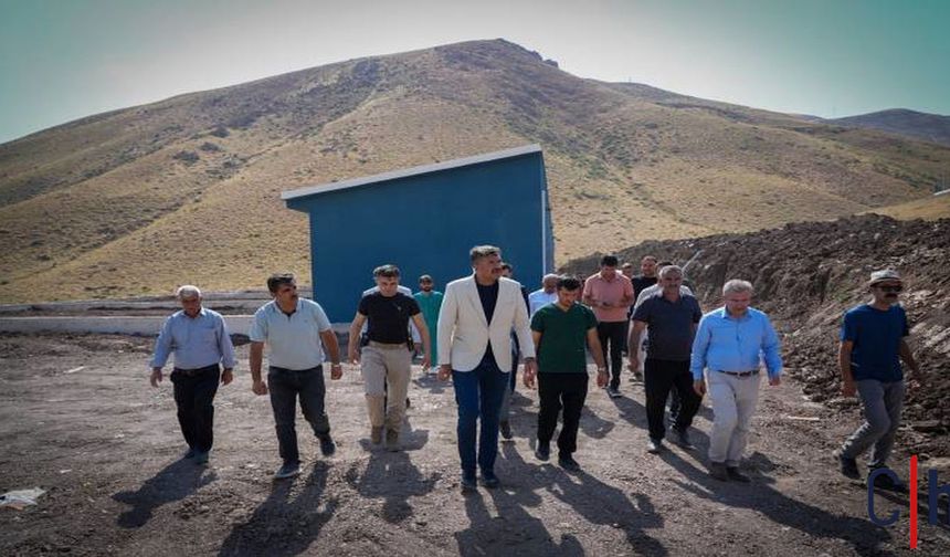 Vali Ali Çelik: Sokak Hayvanları İçin Güvenli ve Sağlıklı Yaşam Alanları Oluşturuluyor