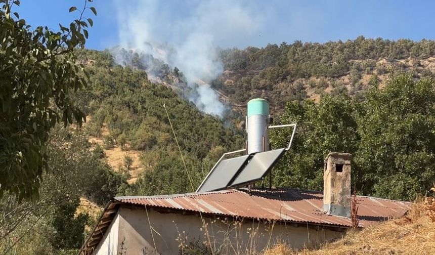 Hakkari Şemdinli’de Orman Yangını: Ekipler Havadan ve Karadan Müdahale Ediyor
