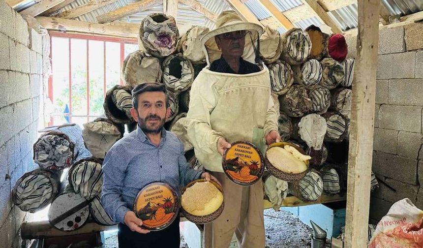 Hakkari’nin Yüksek Yaylalarında Sepet Kovan Balı Hasadı Başladı