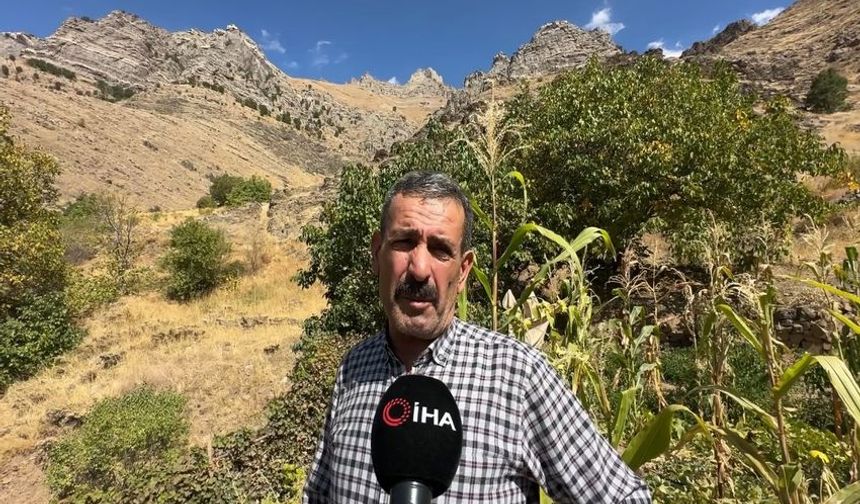 Dağ Keçilerinin Güvenli Limanı Hakkari’deki ‘Kale Dağı’ Oldu