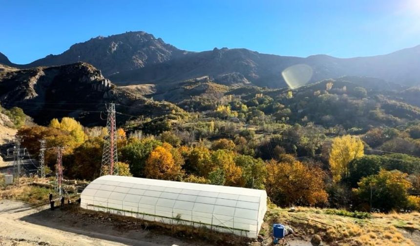 Hakkari'de boşaltılan köylerde seralar yeniden canlanıyor
