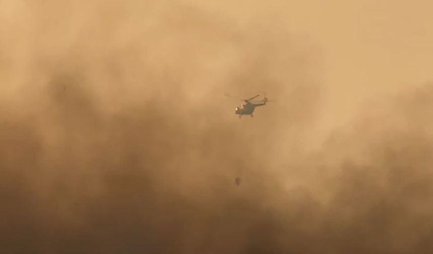 Hakkari’nin Kuş Cenneti Yanıyor: Yangına Havadan Müdahale
