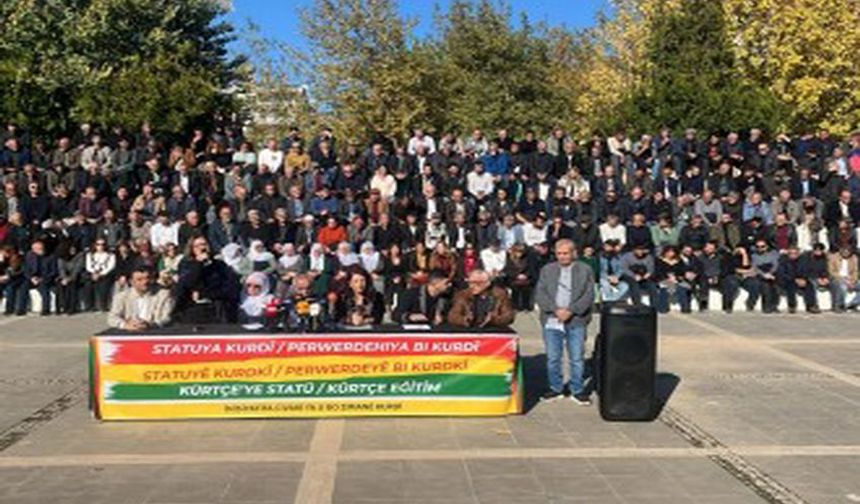 750 Kurumdan Ortak Çağrı: Kürtçe Resmî Dil ve Eğitim Dili Olsun