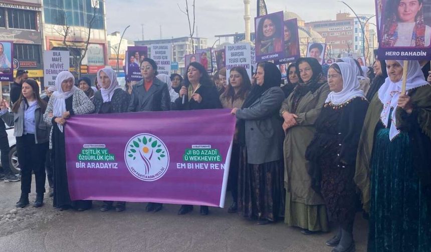 Dem Parti Yüksekova'da "Kadın şiddetine hayır" yürüyüşü düzenledi