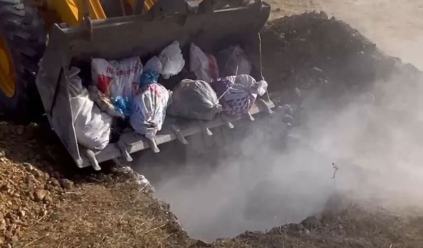 Hakkari'de Kuş Gribi Tehlikesi: Yetkililerden Çiftçilere Kritik Uyarı
