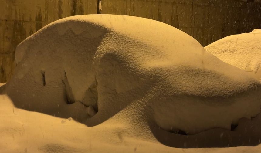 Hakkari'de Kar Esareti: Araçlar ve Evler Beyaz Örtü Altında Kaldı