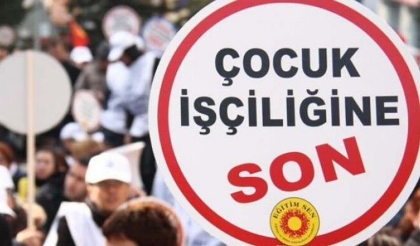 Türkiye’de Her Dört Çocuktan Biri İşçi: Suça Sürüklenme ve Yoksulluk Derinleşiyor
