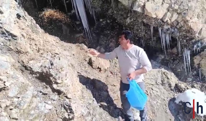 Doğaseverler Karla Mücadele Eden Keklikleri Unutmadı