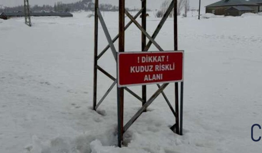 Yüksekova’da Kuduz Alarmı: Kadıköy Köyü Karantinaya AlındıEdinilen bilgilere göre, köyde bir eşekte hastalık belirtileri