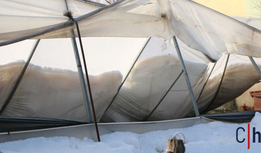 Hakkari’de Kar Felaketi: Derecik’te Seralar Çöktü, Üreticiye 15 Bin TL Destek