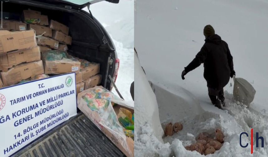 Hakkâri’de Zorlu Kış Şartlarında Yaban Hayatına Yem Desteği