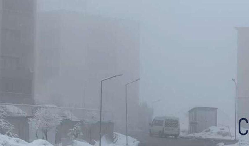 Yüksekova’da Sis ve Dondurucu Soğuk: Görüş Mesafesi Düştü