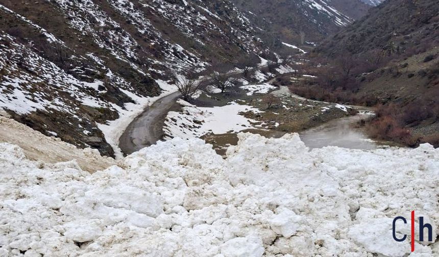 Çığ düştü: 1 mahalle ve 8 mezra ulaşıma kapandı