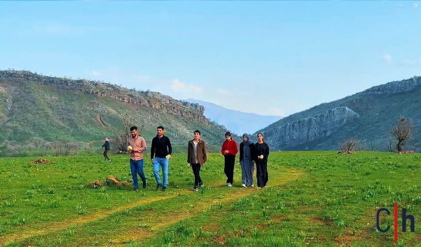 Hakkari’de Kış, Derecik’te Bahar: Nergisler İlgi Görüyor