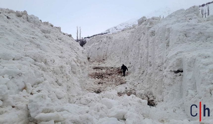 Hakkari'de Çığ Felaketi: Meyve Bahçeleri Zarar Gördü, Yol Kapandı