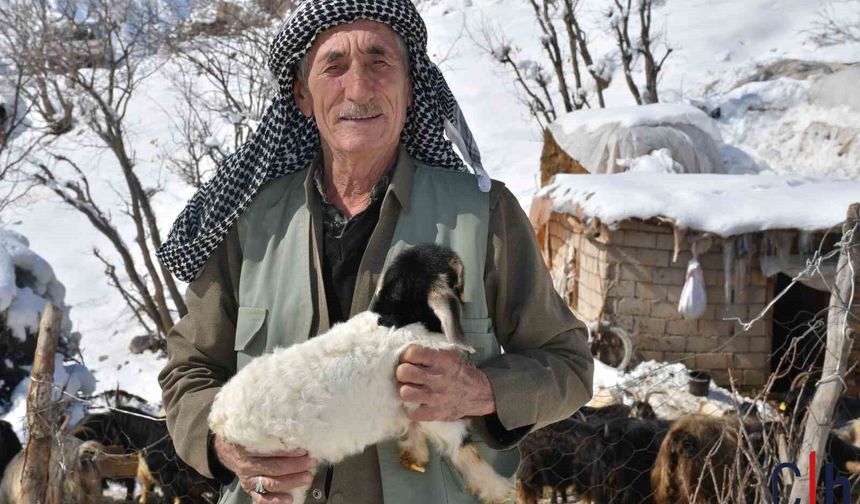 Besiciler Destek Bekliyor, Göç Artıyor