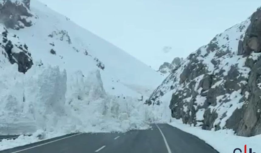 Güzeldere Tüneli Yakınında Çığ: Hakkâri-Van Yolu Yarına Kadar Kapatıldı