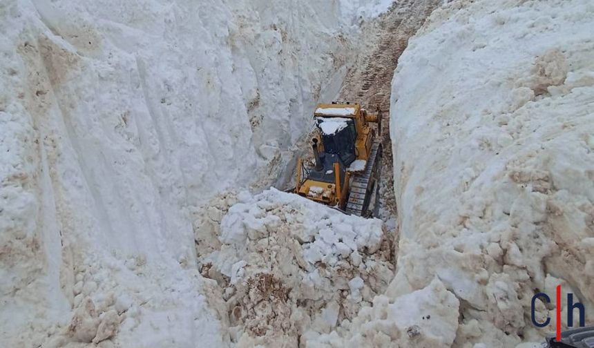 Hakkari'de 8 Metrelik Kar: Açılan Yollar Tüneli Andırdı