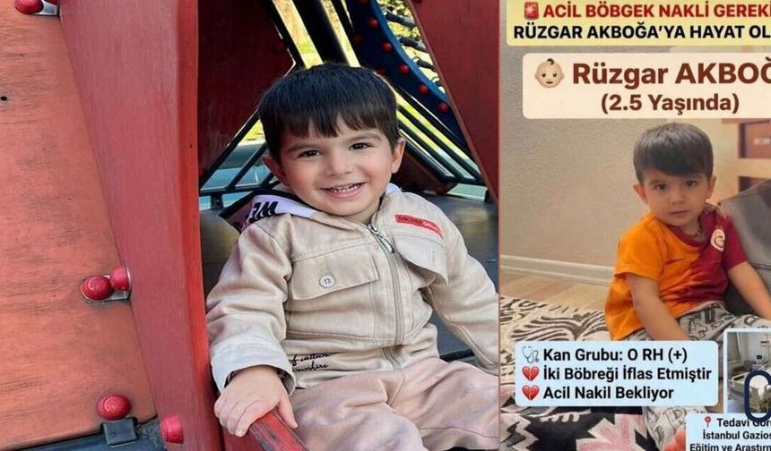 Hakkari’den yürek burkan çağrı