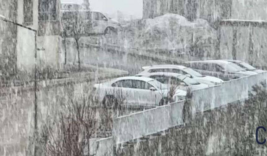 Yüksekova’da Yoğun Kar ve Sis Hayatı Olumsuz Etkiledi