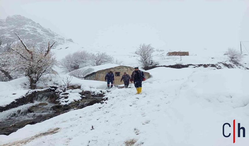 Hakkari’de Kar ve Yağışa Rağmen Çalışmalar Sürüyor