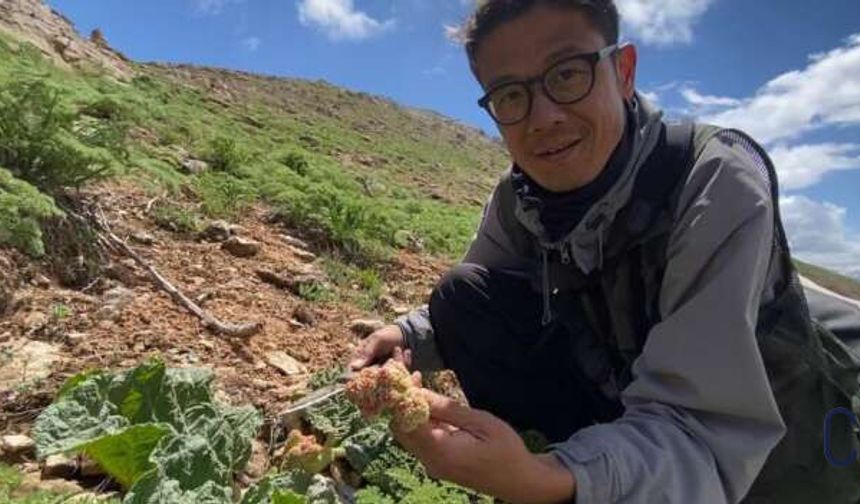 Japon Gezgin Masato Kano, Yüksekova’nın Doğasına Hayran Kaldı