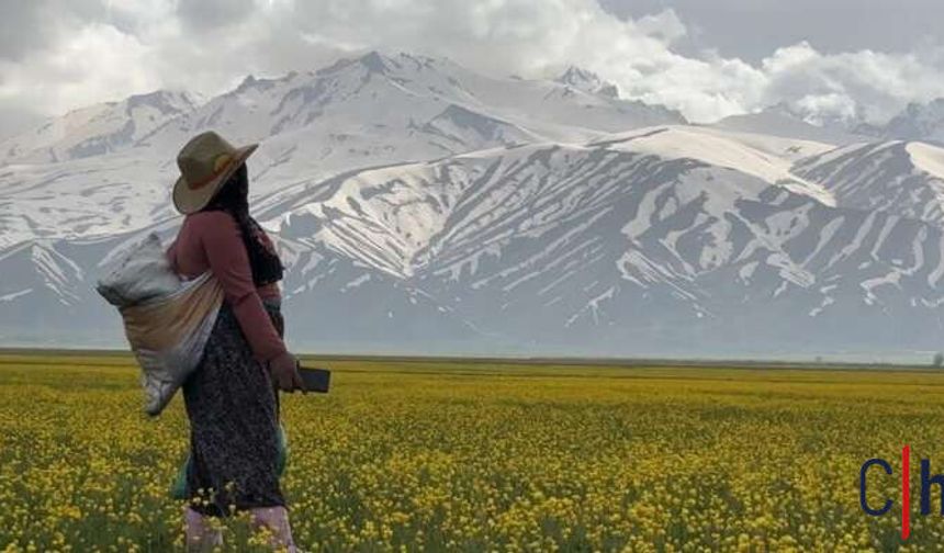 Cilo Dağı’nın Eteklerinde Bahar: Yüksekova’da İki Mevsim Bir Arada